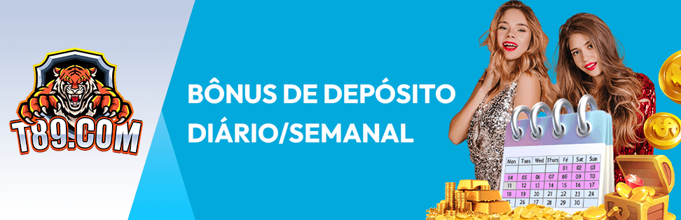 zebra bets apostas online